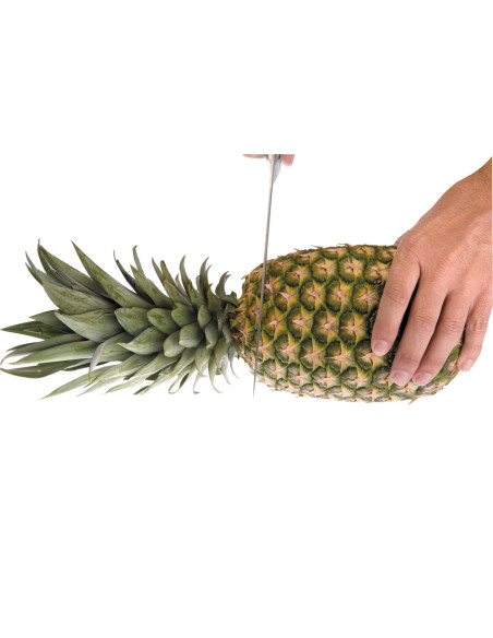 Cortapiñas first class M Ibili