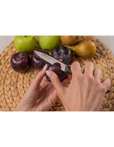 Cuchillo mondador serie Nova Arcos Cuchillo mondador serie Nova Arcos