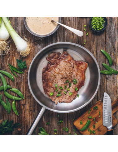 Sartén Ø20cms acero inox. sin...