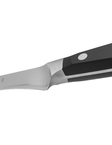 Cuchillo Jamonero 300mm Serie...