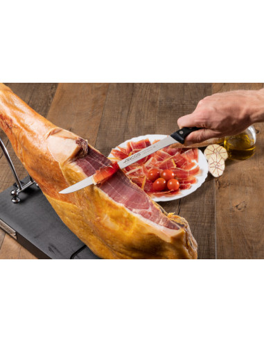 Cuchillo Jamonero 240mm Serie... Cuchillo Jamonero 240mm Serie...