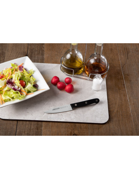 Cuchillo cocinero 100mm Serie Universal Arcos